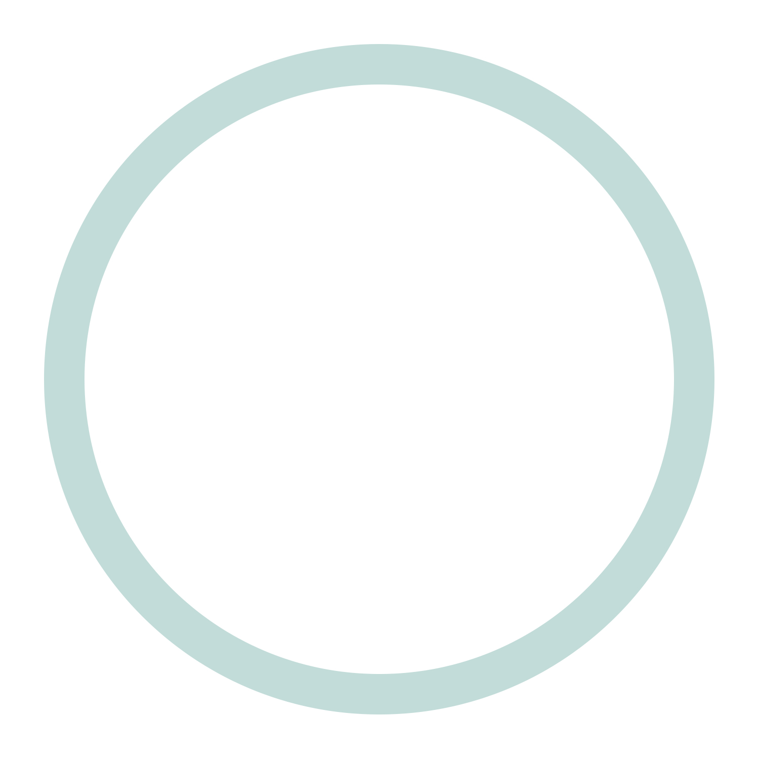 Oliver's Visual Journey